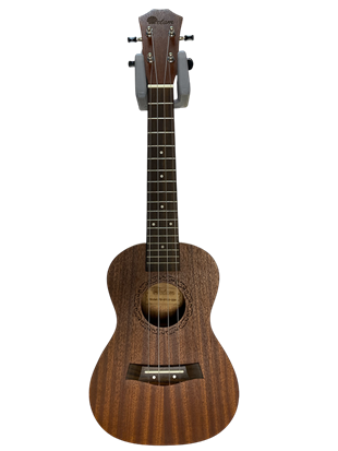 RHN Ukulele Standı Gri (Duvara Sabitlenebilir)