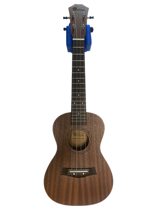 RHN Ukulele Standı Mavi (Duvara Sabitlenebilir)