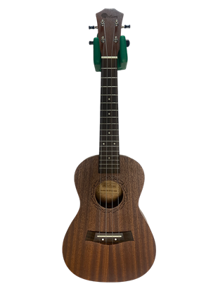 RHN Ukulele Standı Yeşil (Duvara Sabitlenebilir)