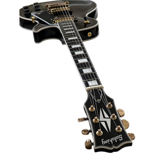 Soloking SLC60 Black Beauty Gold Elektro Gitar (Gigbag Dahil)