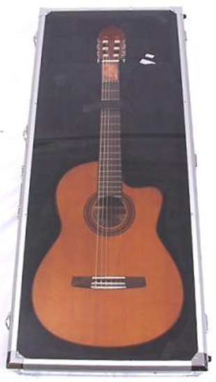 Valencia DSC420 CNB Şeffaf Kapaklı Dreadnought Akustik Gitar Teşhir Kutusu