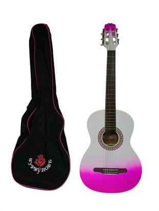 Valencia GRC1KPUB Klasik Gitar Gypsy Rose Set