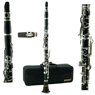 Wisemann DCL-G150 Sol Klarnet