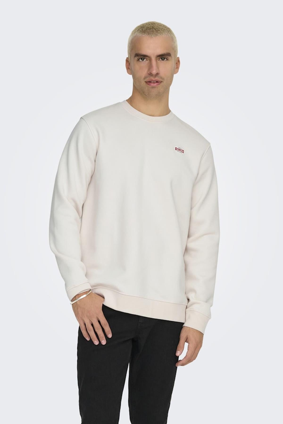 Only & Sons Dawson Bisiklet Yaka Erkek Krem Sweatshirt - 22033193 - Only & Sons - 3-22033193