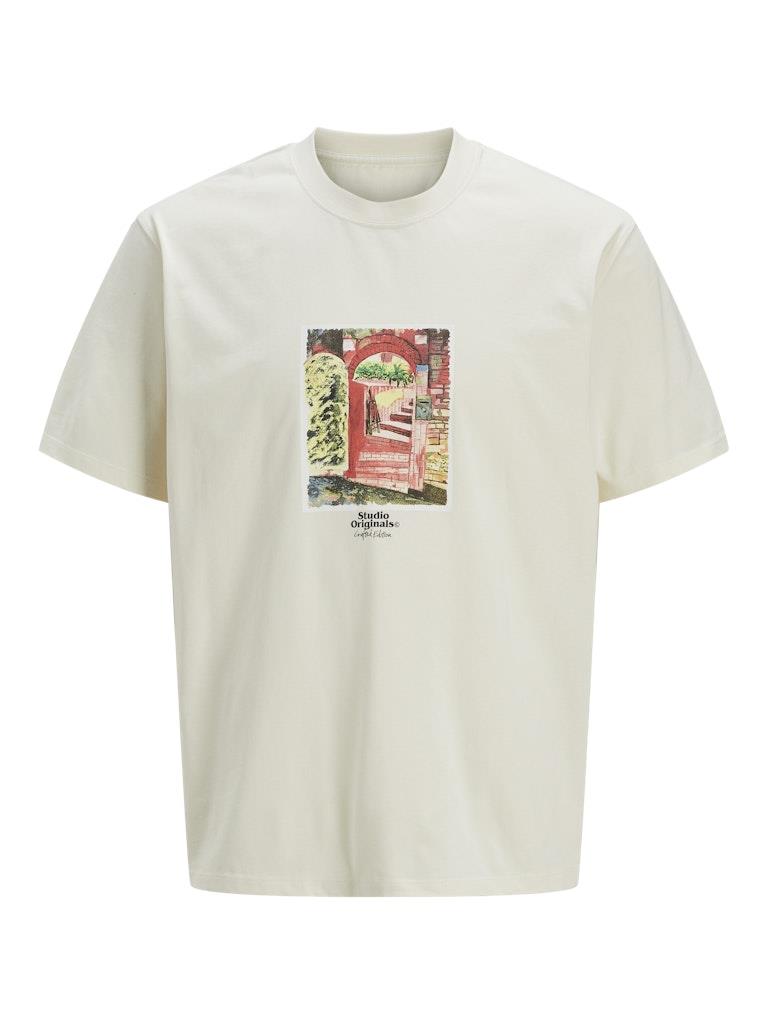 Jack & Jones Erkek Baskılı Bisiklet Yaka T-Shirt - 12273494 - Jack & Jones - 12273494