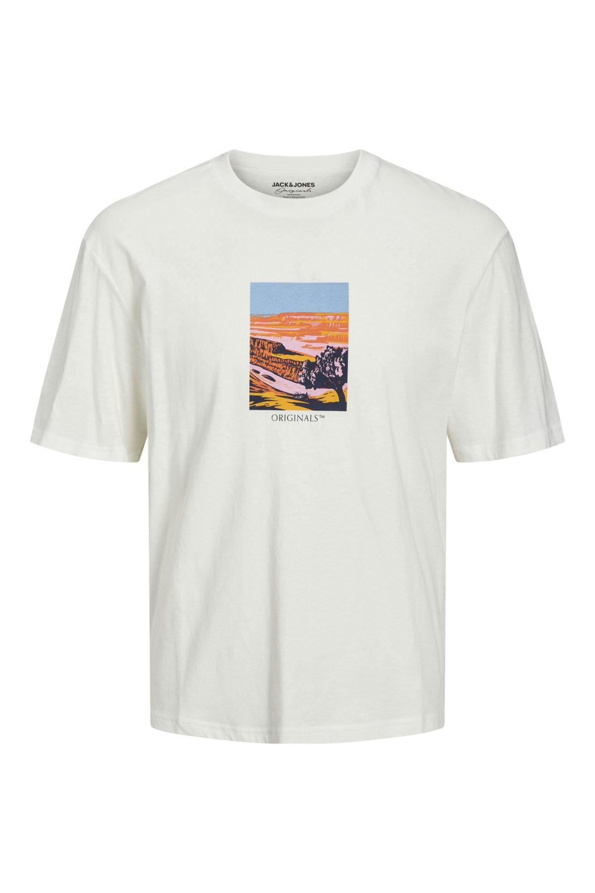 Jack & Jones Erkek Valley T-shirt Bisiklet Yaka Tişört - 12230734