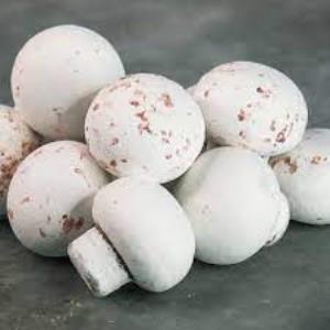 MİNİ MANTAR DRAJE (250 GRM )