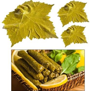 TOKAT SARMA YAPRAĞI 