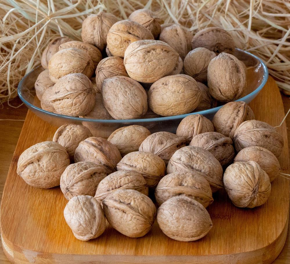 İNCE  KABUKLU CEVİZ (CENDER)