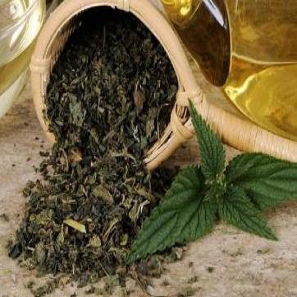 ISIRGAN OTU(KURU) 500 GRM