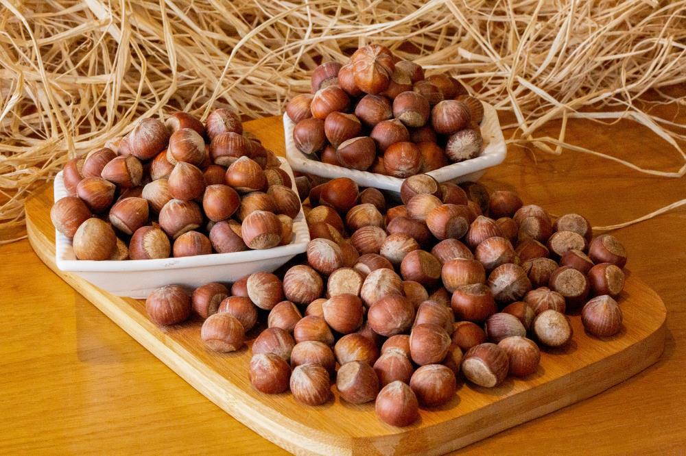 KABUKLU ÇİĞ FINDIK (1 KG)