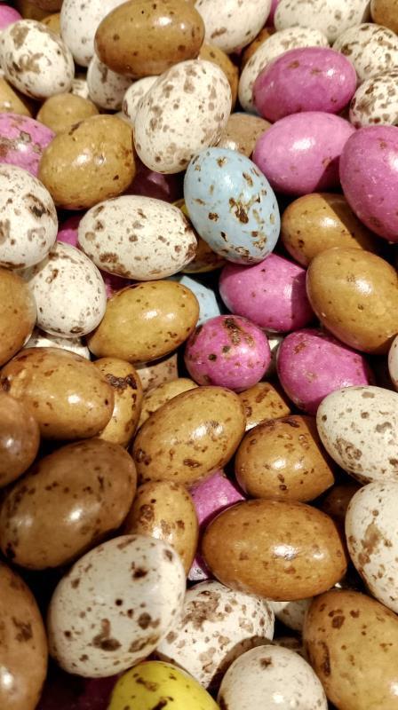 KARIŞIK BILDIRCIN DRAJE  (500 GRM )