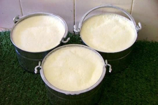 KARIŞIK YOĞURT 1 KG