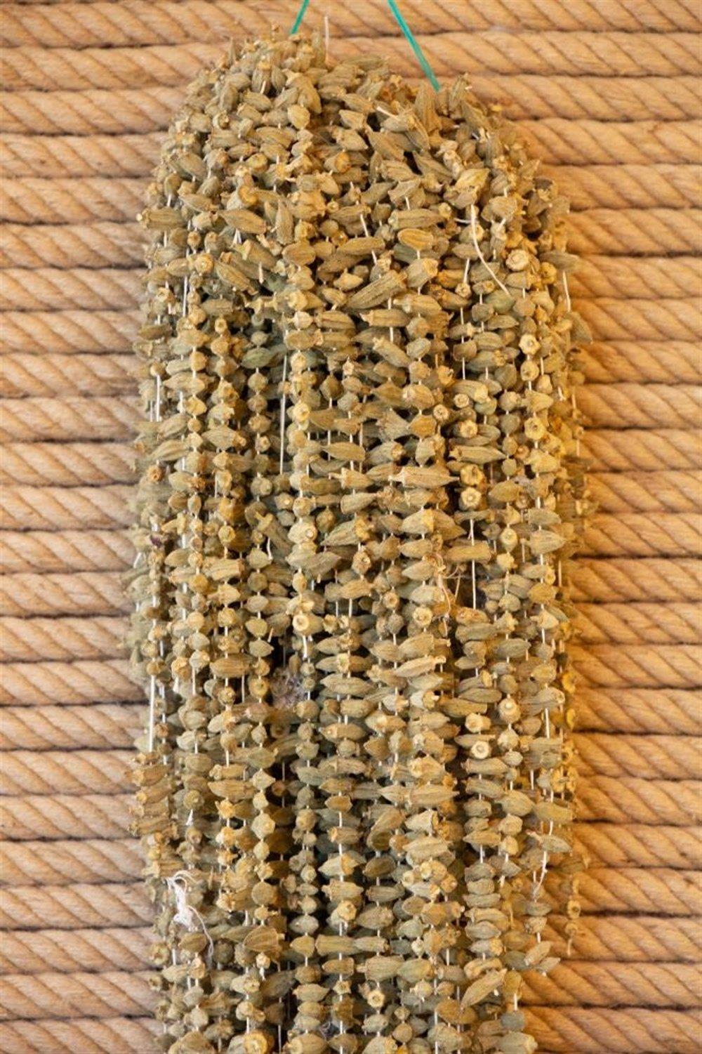 KURUTULMUŞ BAMYA 1 KG