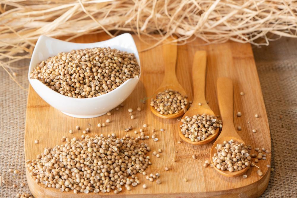 TANE KİŞNİŞ (500 GRM)