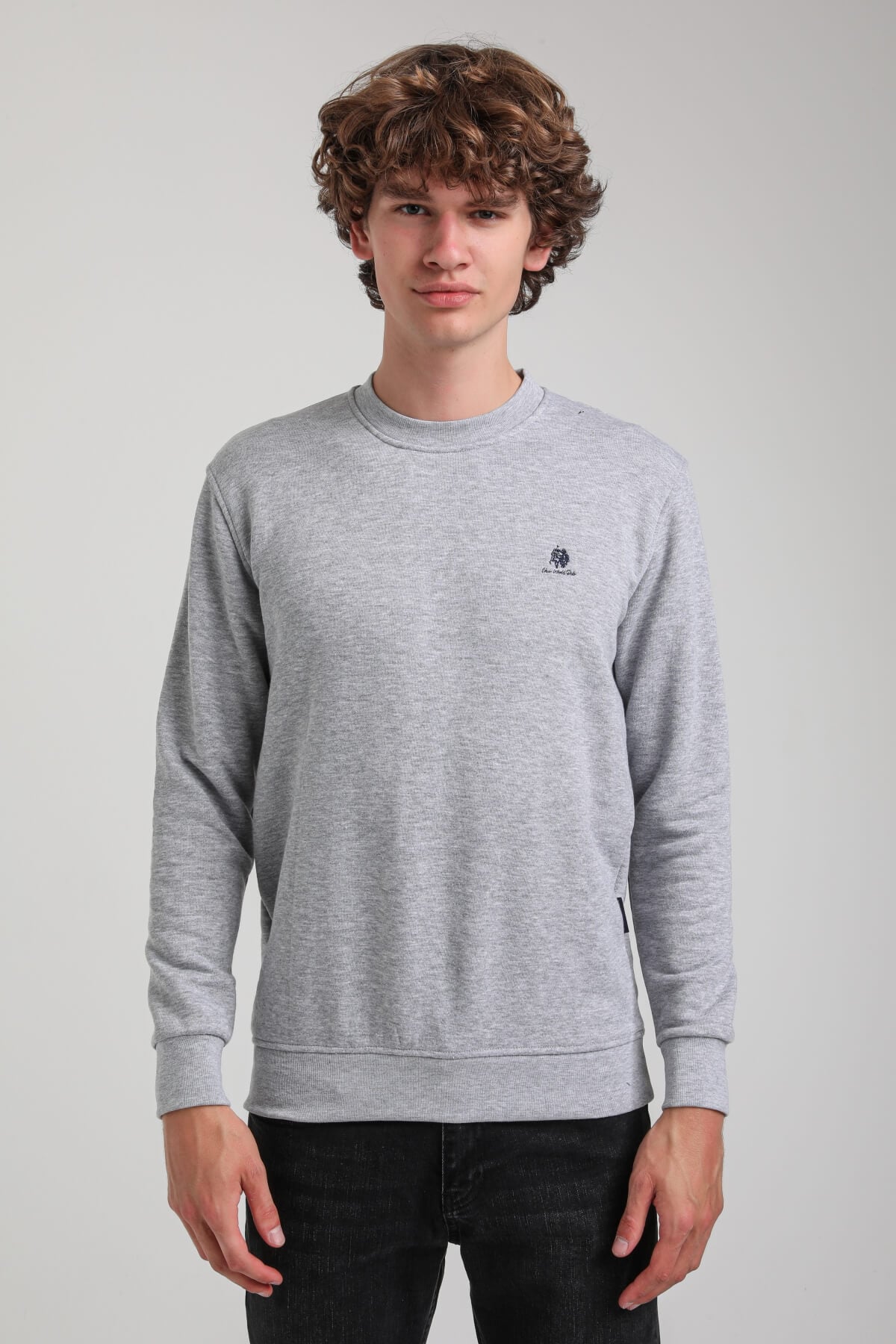 Bisiklet Yaka Gri Regular Custom Sweatshirt 23FWM60141