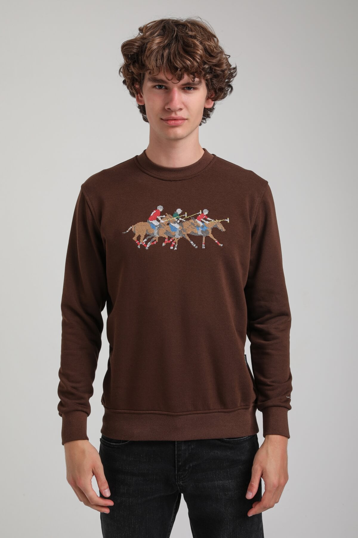 Bisiklet Yaka Kahverengi Regular Custom Sweatshirt 23FWM60144