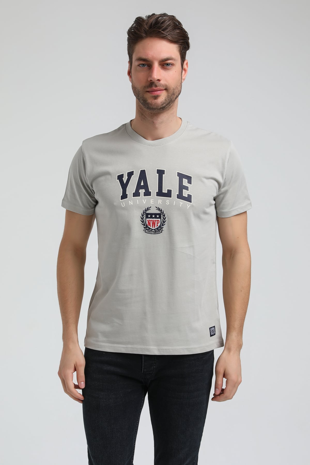 New World Polo Bisiklet Yaka Gri Boyalı Slim Fit Tişört 23SSM20308