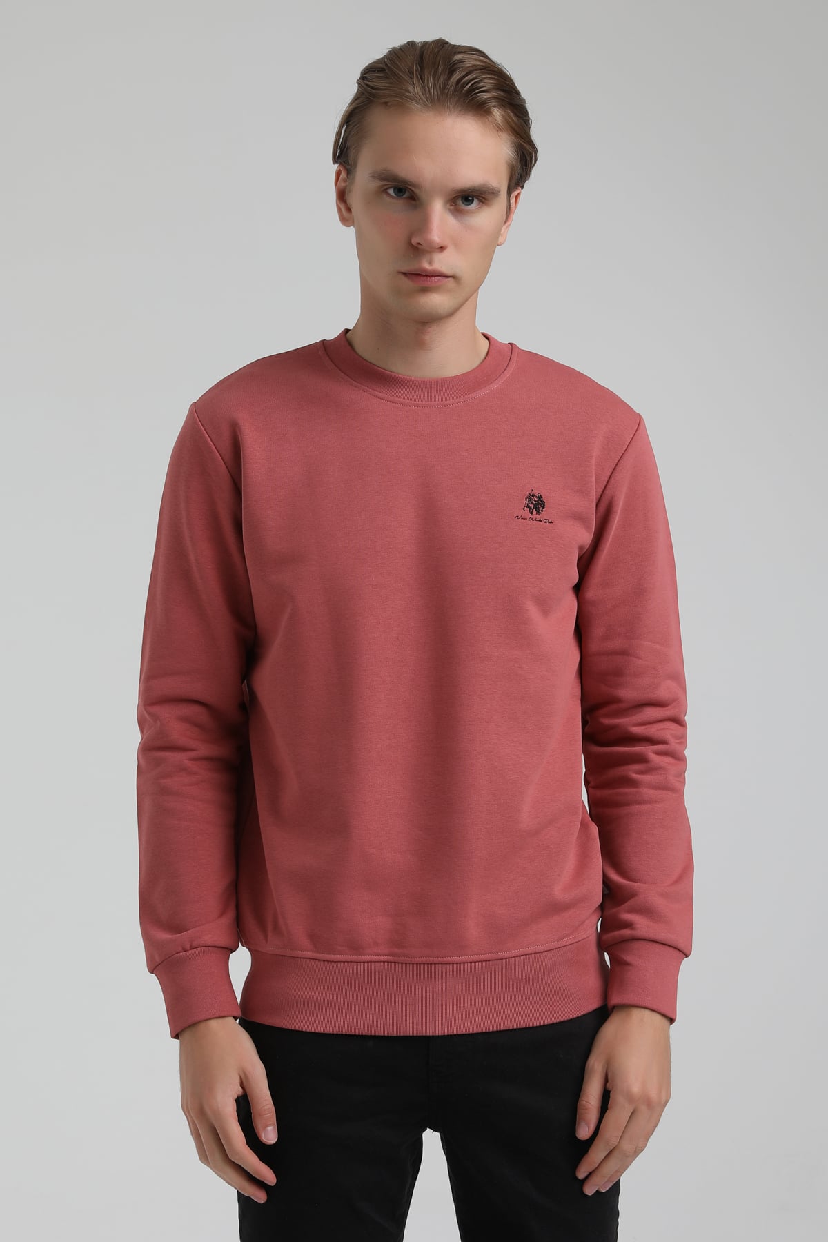 New World Polo Bisiklet Yaka Kestane Regular Sweatshirt 22FWM60115
