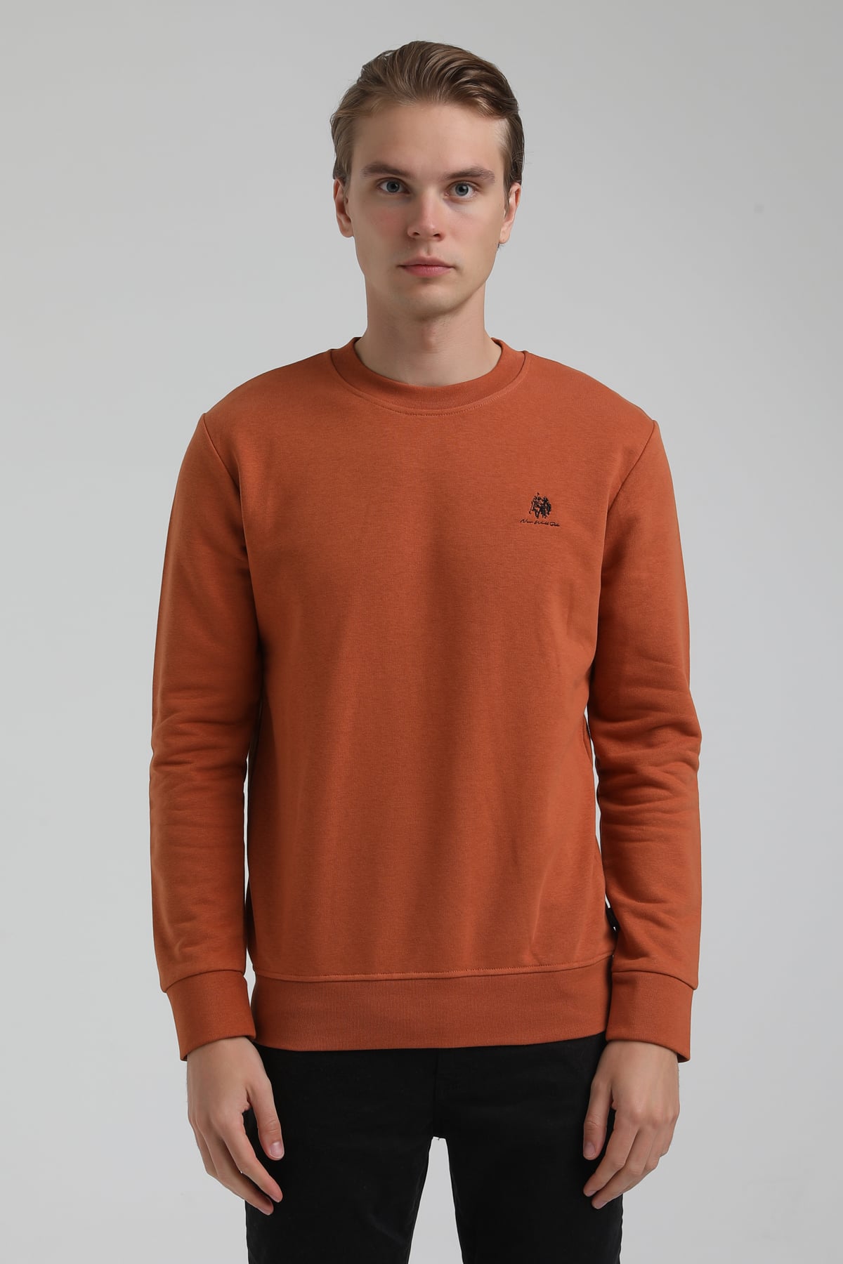 New World Polo Bisiklet Yaka Kiremit Regular Sweatshirt 22FWM60115