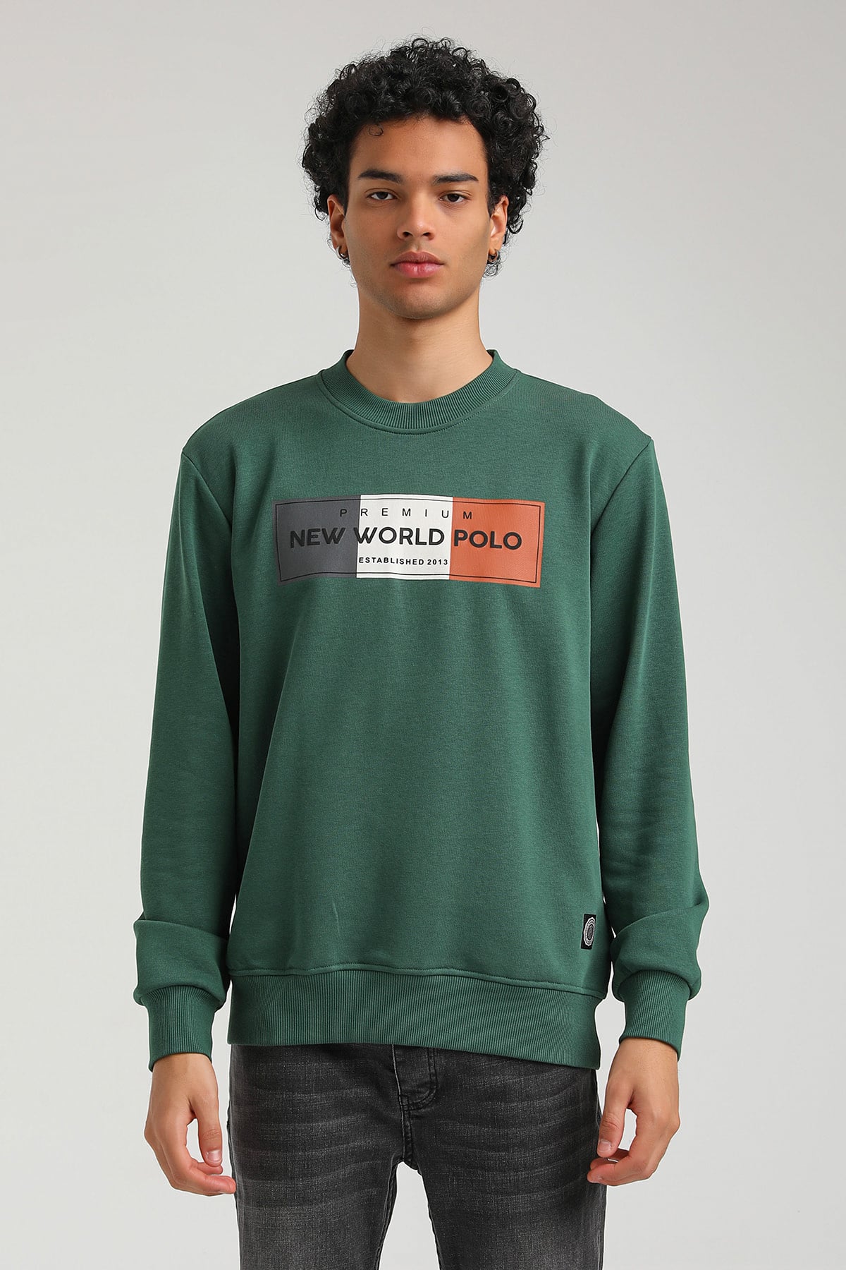 New World Polo Bisiklet Yaka Yeşil Slim Fit Sweatshirt 23FWM60155