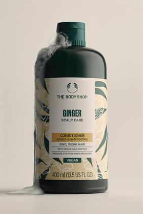 NP CONDITIONER GINGER 250ML A0X