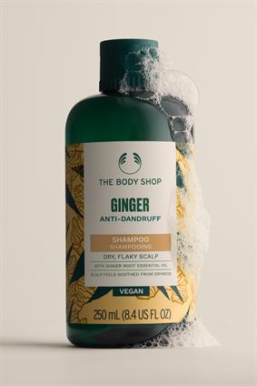 NP SHAMPOO ANTI DAND GINGER 250ML AX