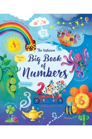 Usborne - Big Book Of Numbers