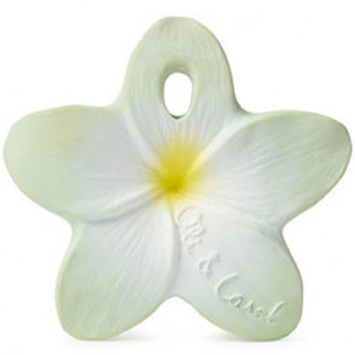 Oli&Carol Bally the Flower Mint Doğal Diş Kaşıyıcı