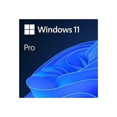 Microsoft Ms Windows 11 Pro FQC-10556 64BIT Tr (Oem)