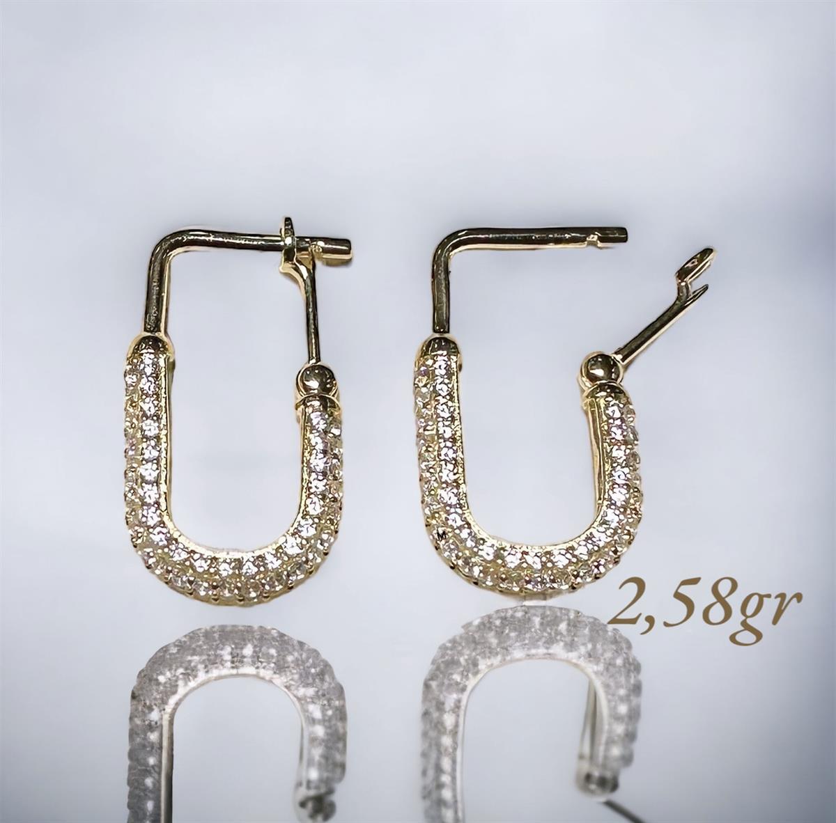 14 Ayar Taşlı Yuvarlak Model Altın Küpe 