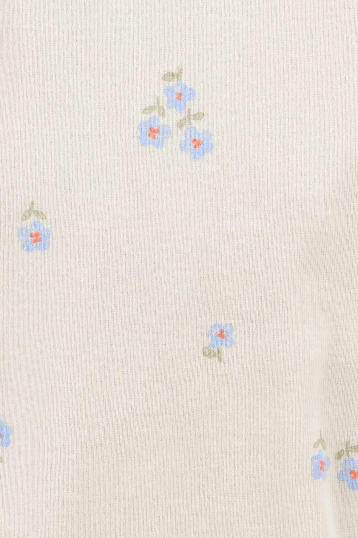 Carters Erkek Bebek 6-24  Ay 5li Desenli Çıtçıtlı Body Mavi