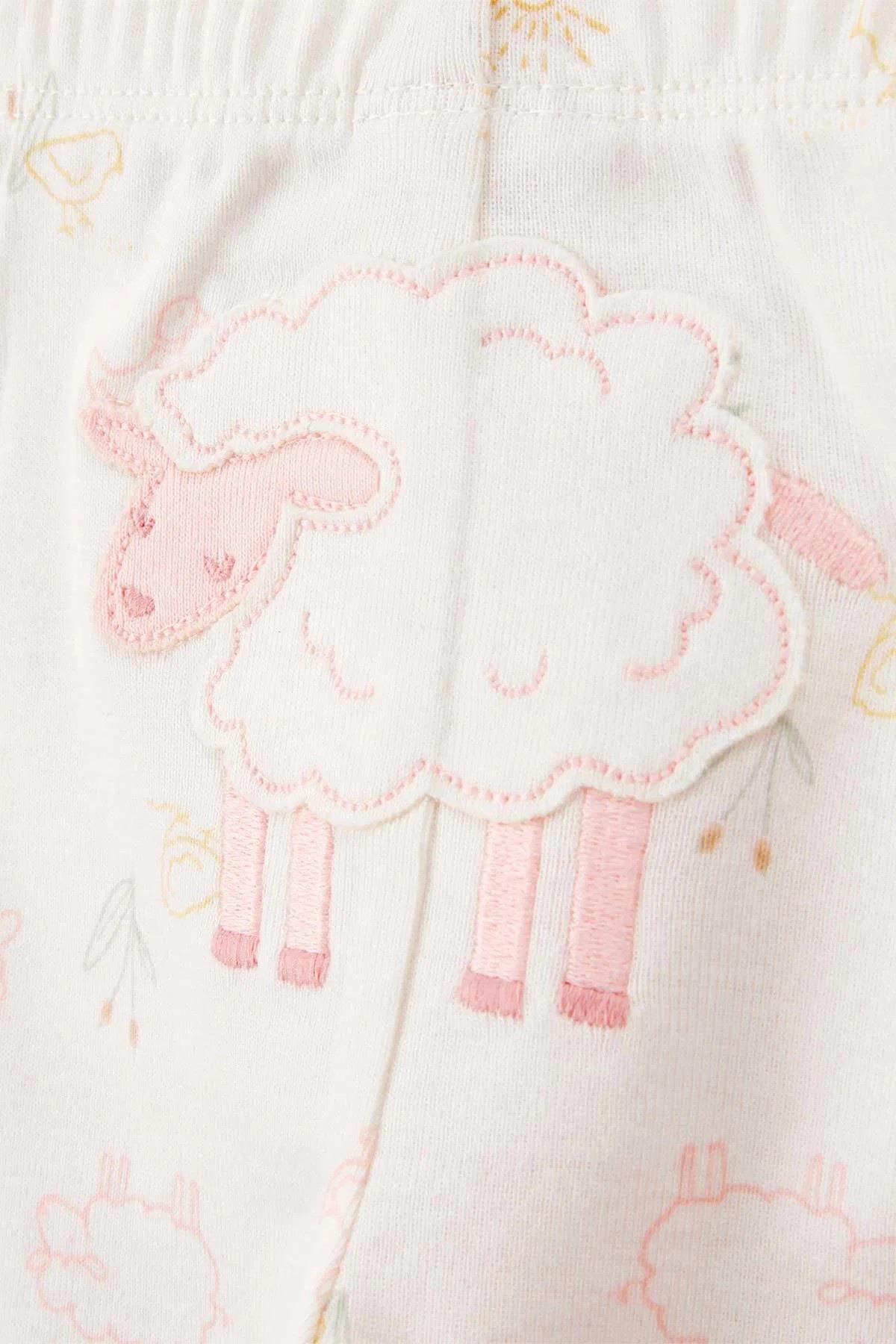 Carters Kız Bebek 3-24 Ay İşleme Detaylı Üçlü Body Takım Pembe