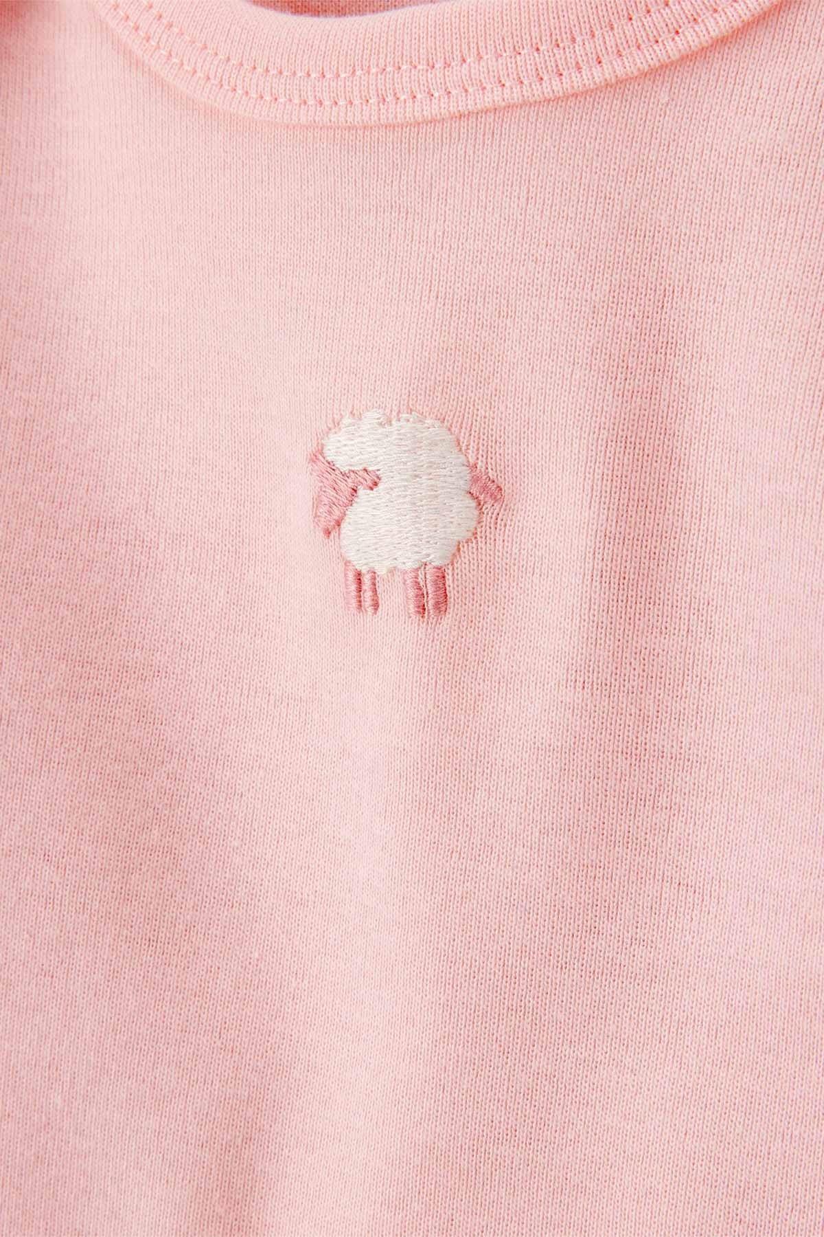 Carters Kız Bebek 3-24 Ay İşleme Detaylı Üçlü Body Takım Pembe