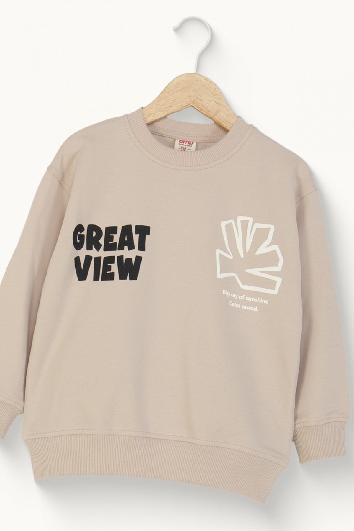 Mojo Erkek Çocuk 4-9 Yaş Mevsimlik Desenli Sweatshirt Bej