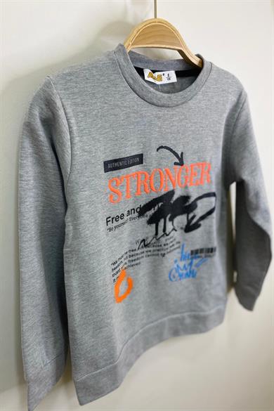 ALG Erkek Çocuk Stronger Nakışlı Şardonlu Sweatshirt 324484 Gri