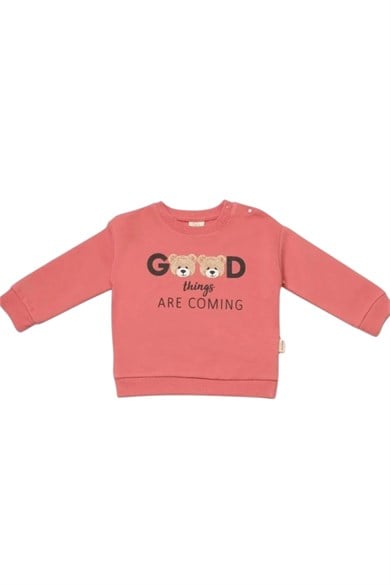 BabyCosy Kız Bebek 3-24 Ay Ayıcık Desenli Sweatshirt Rose