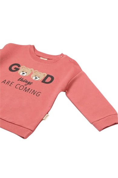 BabyCosy Kız Bebek 3-24 Ay Ayıcık Desenli Sweatshirt Rose