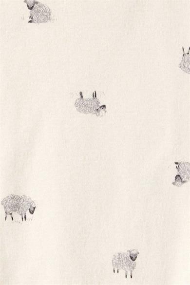 Carters Erkek Bebek 3-18 Ay Figürlü Body Üçlü Takım Antrasit