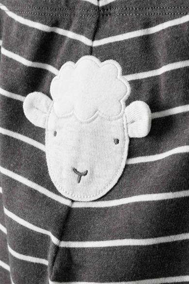 Carters Erkek Bebek 3-18 Ay Figürlü Body Üçlü Takım Antrasit