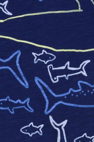 Carters Erkek Bebek 3-9 Ay Desenli Çıtçıtlı Body-Alt Üçlü Takım Mavi