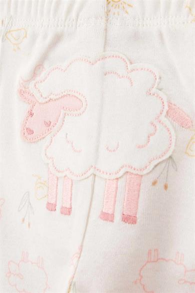 Carters Kız Bebek 3-24 Ay İşleme Detaylı Üçlü Body Takım Pembe
