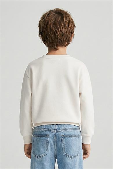 Dmb Erkek Çocuk 4-9 Yaş İşlemeli Mevsimlik Sweatshirt Ekru