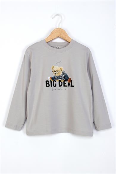 Dmb Erkek Çocuk 4-9 Yaş Teddy Bear Baskılı İnce Uzun Kol T-shirt Gri