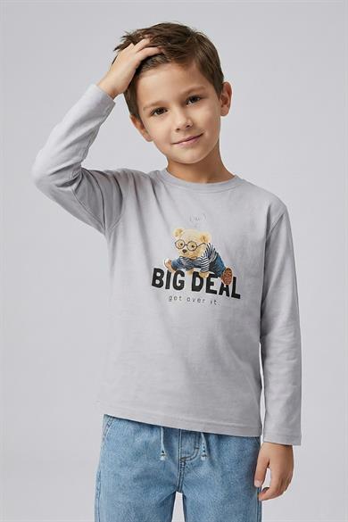 Dmb Erkek Çocuk 4-9 Yaş Teddy Bear Baskılı İnce Uzun Kol T-shirt Gri