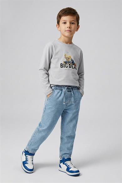 Dmb Erkek Çocuk 4-9 Yaş Teddy Bear Baskılı İnce Uzun Kol T-shirt Gri