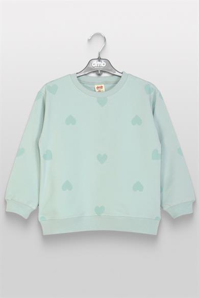 DMB Kız Çocuk 4-9 Yaş Kalp Desenli Mevsimlik Sweatshirt Mint