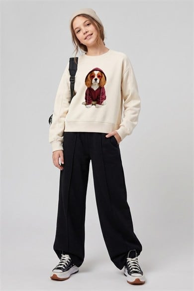DMB Kız Çocuk 9-14 Yaş Köpek Baskılı Sweatshirt Krem