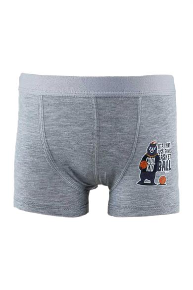 Katamino Erkek Çocuk Desenli 2li Boxer Set K128133 Gri