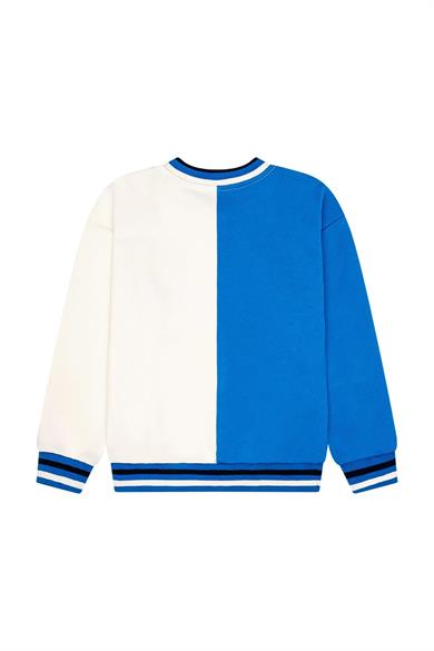 Minycenter Erkek Çocuk 2-6 Yaş Kaykay Baskılı Sweatshirt Mavi